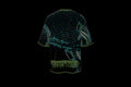 GLITCH DEMO2026 #72344 (back)