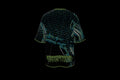 GLITCH SWAG #59933 (back)